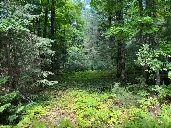 On Cth B, Land O Lakes, WI 54540