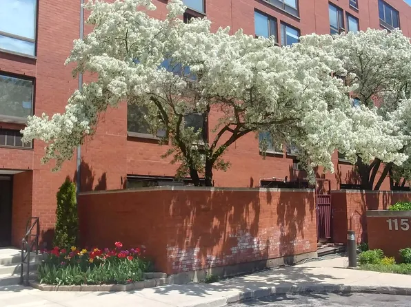 1143 S Plymouth Ct APT 111, Chicago, IL 60605