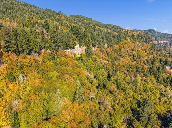 1767 E State Route 4 Lot 1, Cathlamet, WA 98612