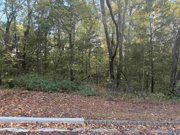 15008 Greentree Trl SE, Huntsville, AL 35803