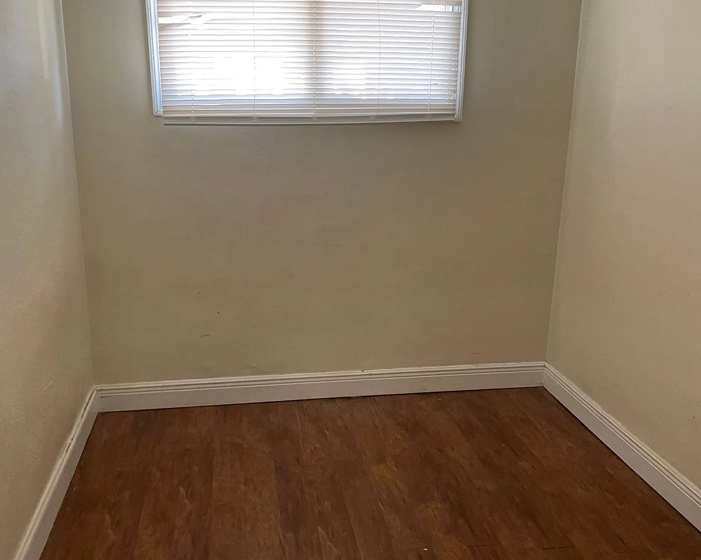 Price Reduced- Spacious 2-Bedroom Apartment Near Downtown St. Petersburg — Photo 3