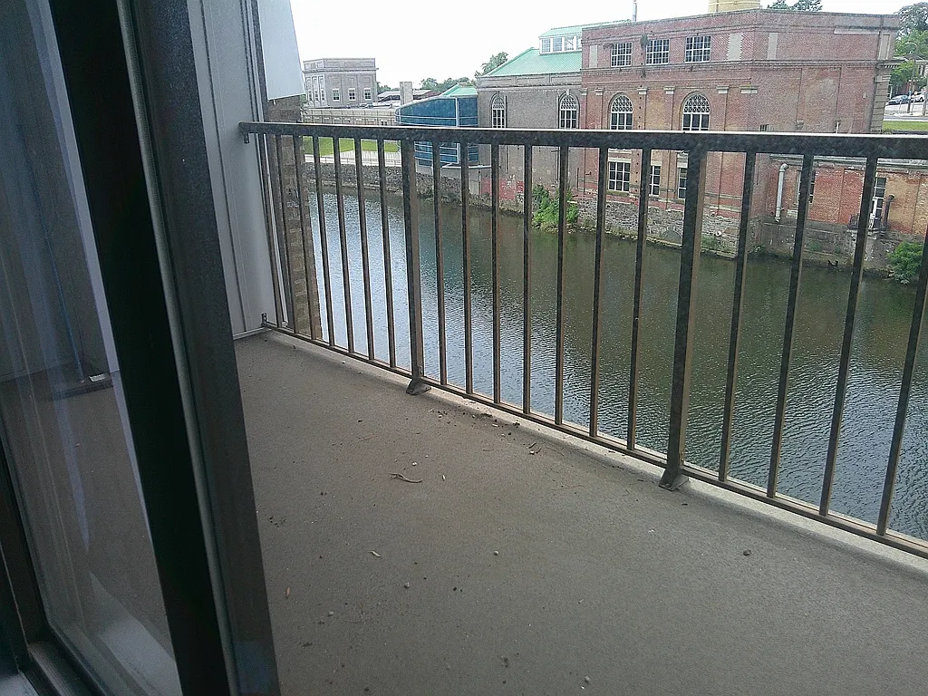2 bed, 2.0 bath, $1,900 — Photo 3