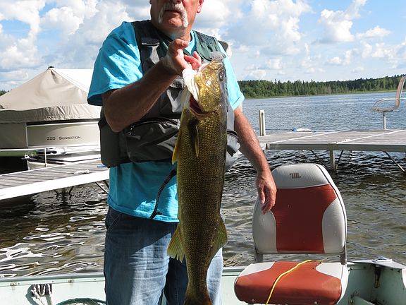 31 1/2" walleye - released!