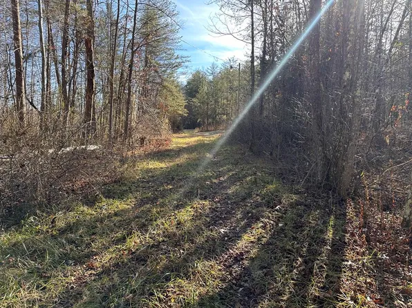 14.56 Ac Hwy #52, Robbins, TN 37852