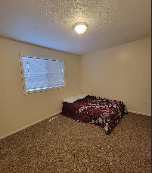 395 Van Dyke St — Photo 17