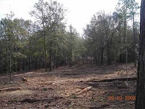2nd image of Sanford Rd