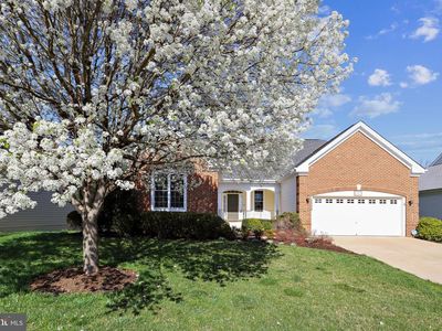 5326 W Philippi Pl, Fredericksburg, VA, 22407