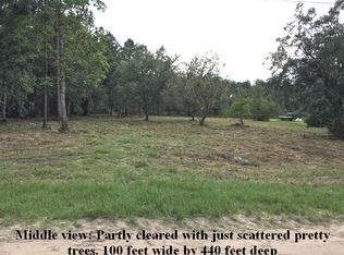 2006 Crestview Ct, Middleburg, FL 32068