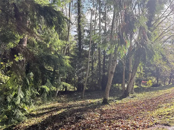 0 XX N Stephenson Drive, Montesano, WA 98563