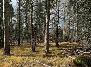 Lot 1335 Skyview Way, Angel Fire, NM 87710