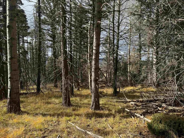 Lot 1335 Skyview Way, Angel Fire, NM 87710