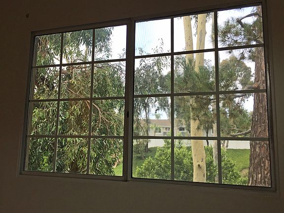 View from Master Bedroom