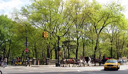 Rented by HOME RESIDENTIAL LLC