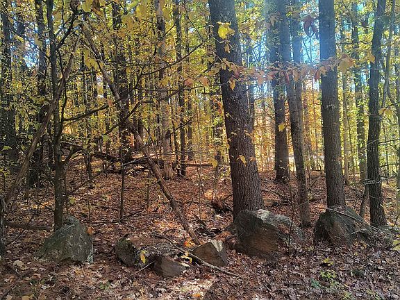 5th image of Map 8 Lot 77 Province Road