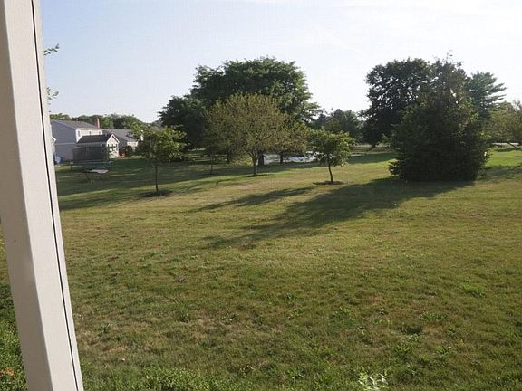 View of the backyard