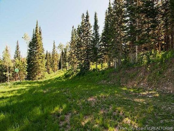 5th image of 206 White Pine Canyon Rd #206