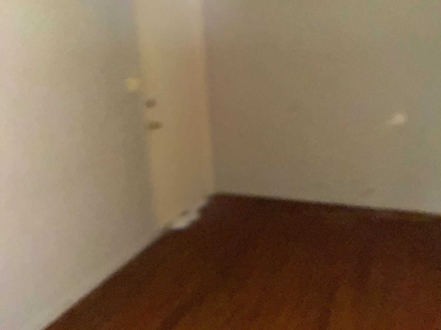 1 bed, 500 sqft, $925 — Photo 4