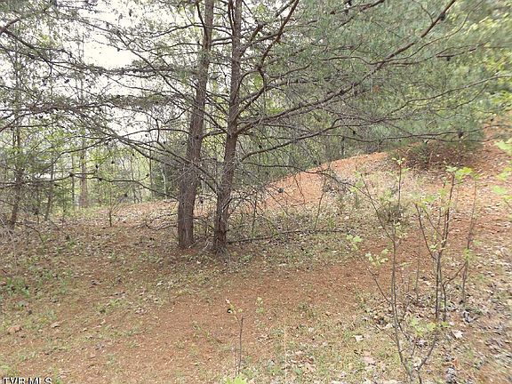 3rd image of Off Of Crockett Ln