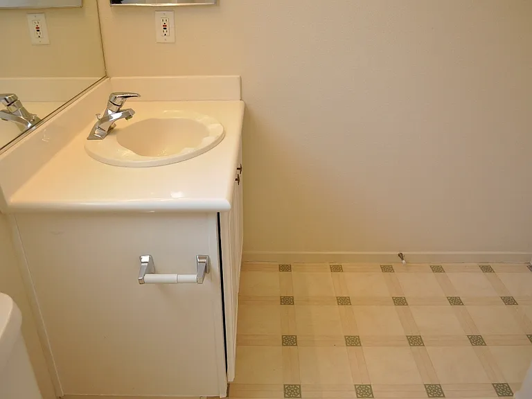 10137 Maidens Wreath Ct — Photo 19