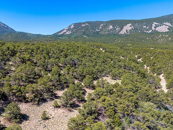4th image of 213 Cl&g Cir #2