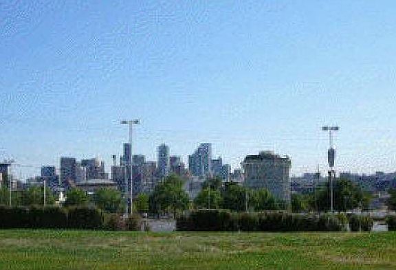 View from Front Porch