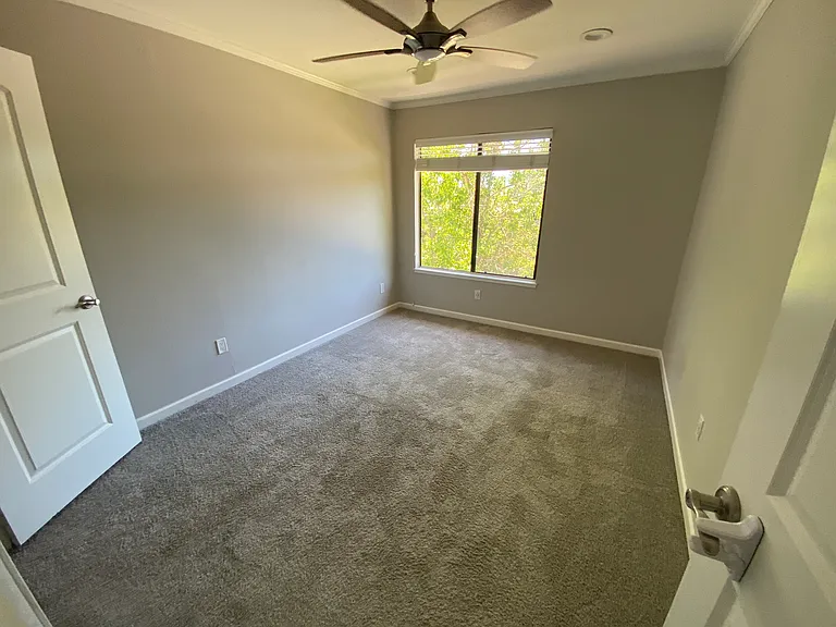1016 Poplar Dr — Photo 11
