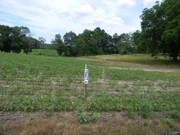 4 County Road 40, Centre, AL 35960