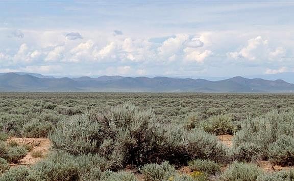 2nd image of 6150 Tim Rd