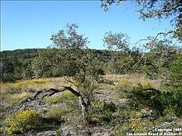 5th image of 14814 Iron Horse Way