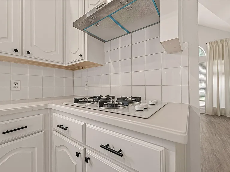16523 Wax Mallow Dr — Photo 21