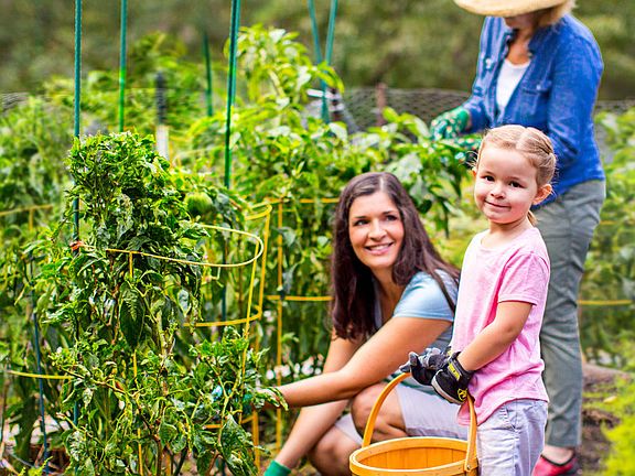 Enjoy the Community Garden Coming Soon
