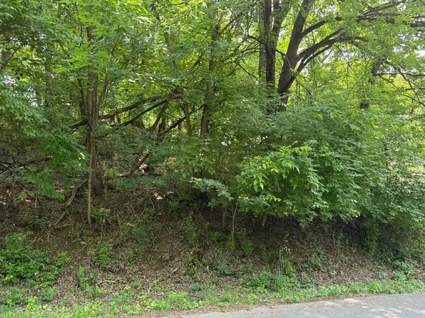 0 Chestnut St Lot 3, Vinton, VA 24179