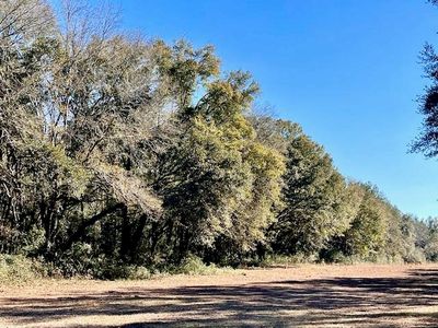 19500 Bohemian Hall Road, Silverhill, AL, 36576