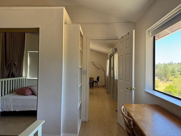 13717 Witt Ln — Photo 7