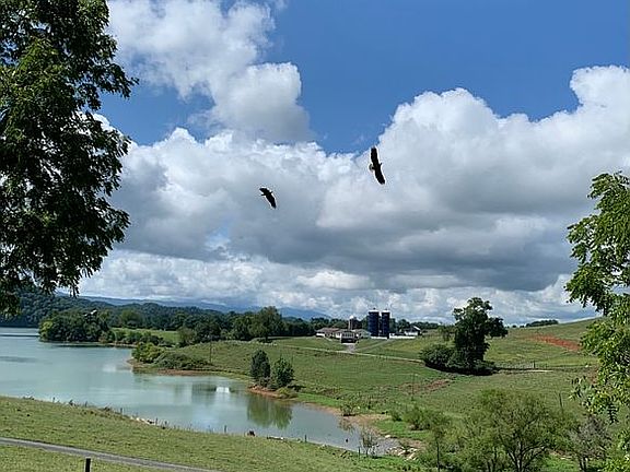 Frequent Eagle Flyby. 