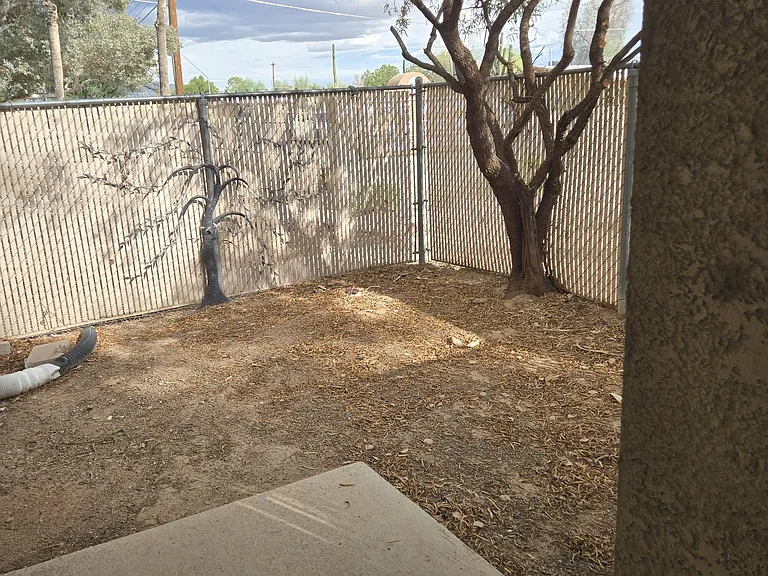 Large fenced yard for Fido or your plants