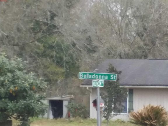 4th image of 4696 Belladonna St