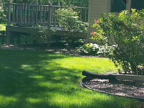 Backyard deck 