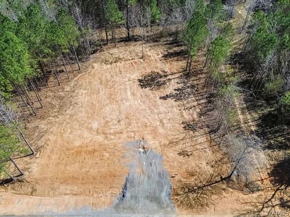 LOT 8 John Swindle Rd, Northport, AL 35475