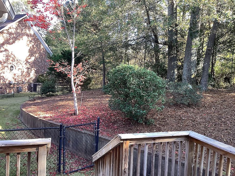 Back yard 