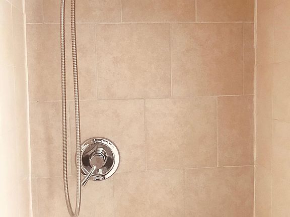 massage shower head