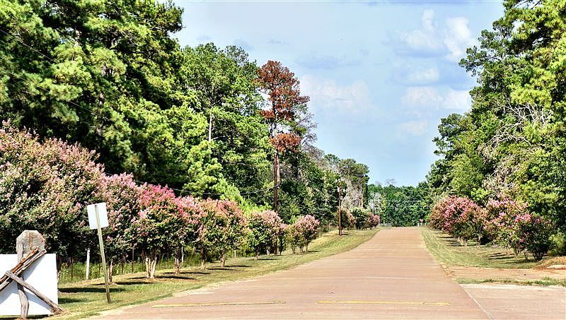 Cowboy Country Drive