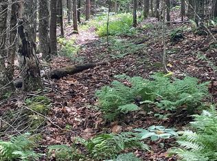 L25 Cleveland Rd, Indian Lake, NY 12842