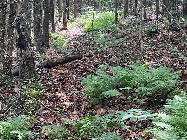 L25 Cleveland Rd, Indian Lake, NY 12842