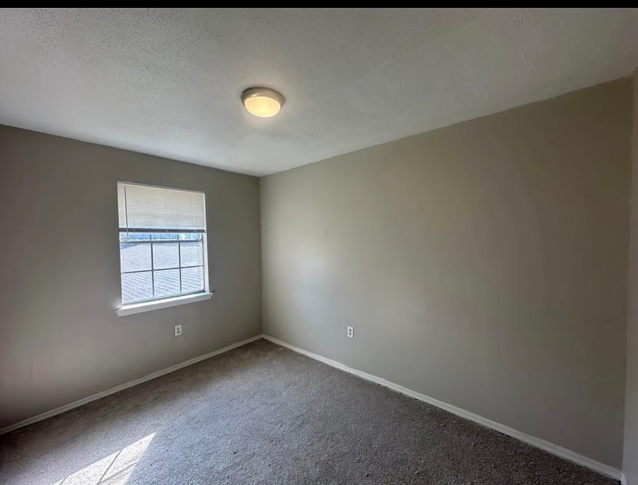 2 bed, $800 — Photo 4