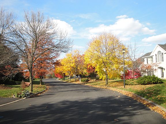 street view from house