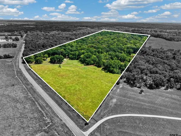 9933 Fm 227 W, Grapeland, TX 75844