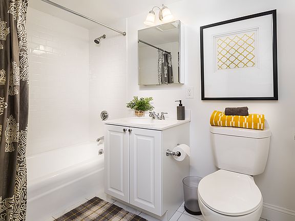 Arlington style bathroom