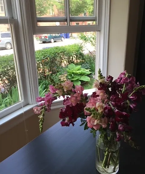 26 Mount Auburn St #1 — Photo 7