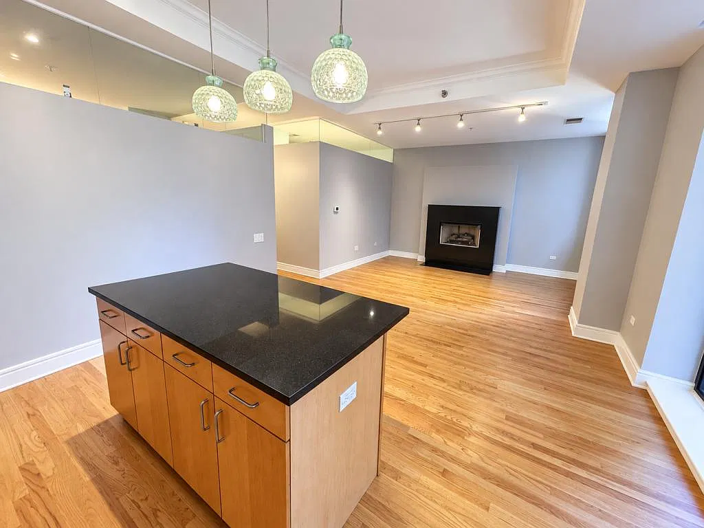 212 W Washington St, Unit 1702 — Photo 2